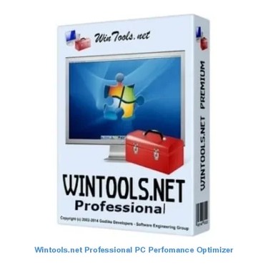 Wintools Professional PC Performance Optimizer License Key