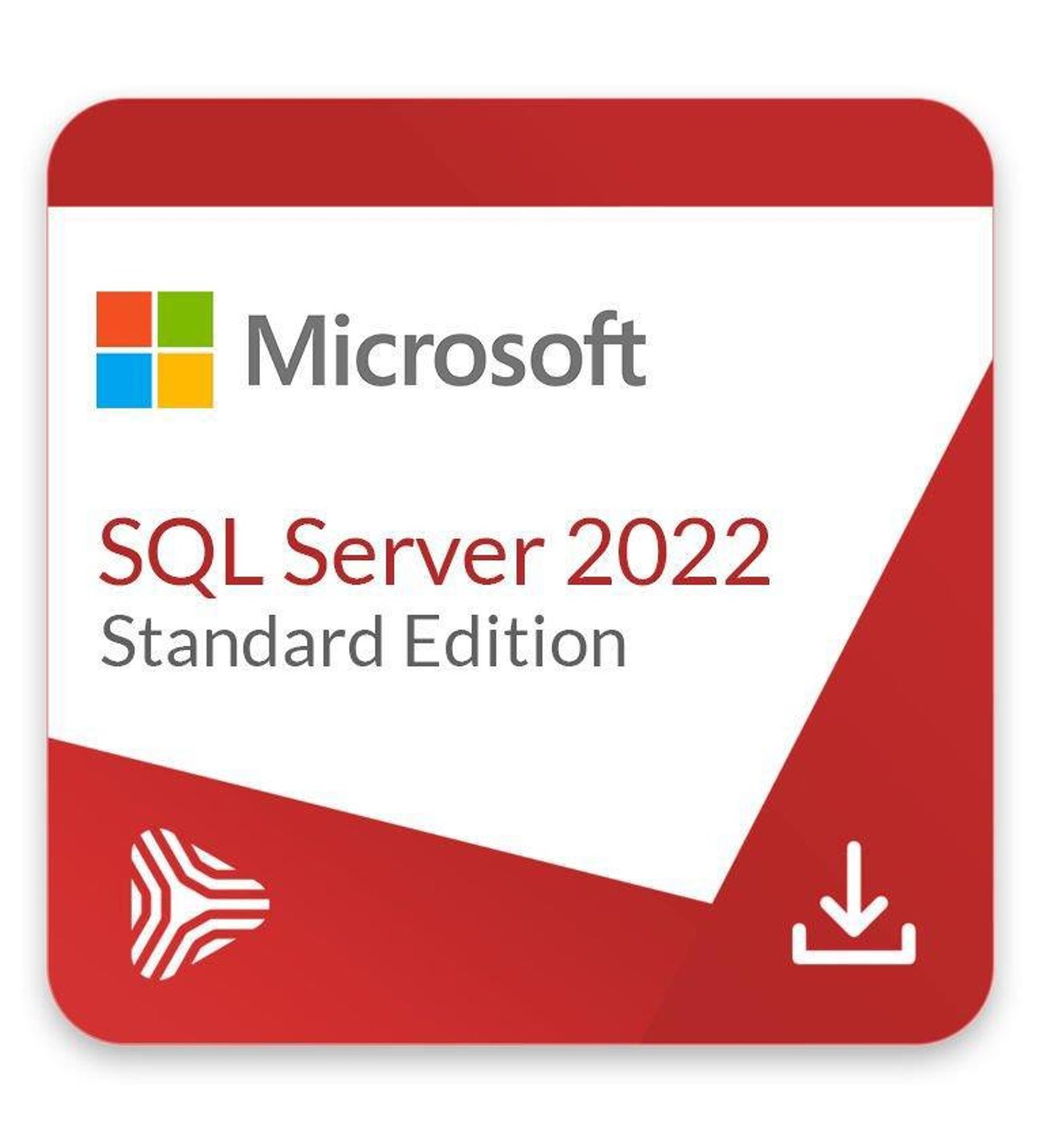 Microsoft Windows SQL Server 2022 Standard Dijital Lisans BİREYSEL KURUMSAL