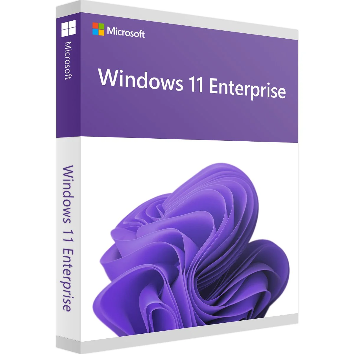 Windows 11 Enterprise Dijital Lisans Anahtarı 32/64 bit