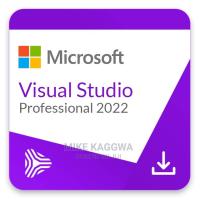 Visual Studio Professional 2022 License Key