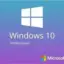 Windows 10 Pro Dijital Lisans Anahtarı 32&64 Bit Tr Key