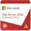 Microsoft Windows SQL Server 2022 Standard Dijital Lisans