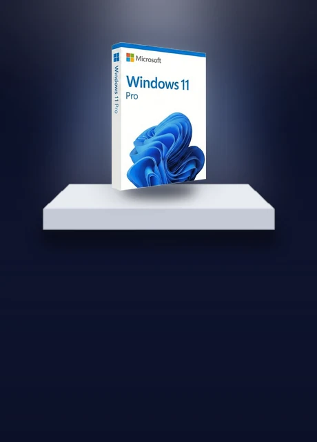 Windows 10 Pro ve Office kutuları