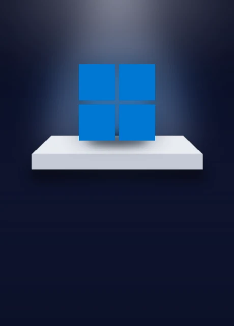 Windows 11 Pro kutusu